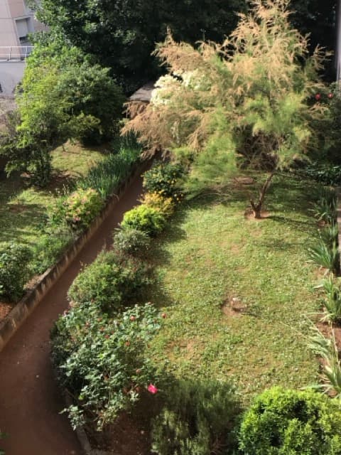 Le jardin de la résidence étudiante